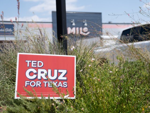 Campaign signs for Ted Cruz stand outside the restaurant "Milo" in Waco, Texas. The Senator spoke to a multitude of his supporters, promising that a vote for him would ensure a victory for Texas. 
Michael Aguilar | Photo Editor