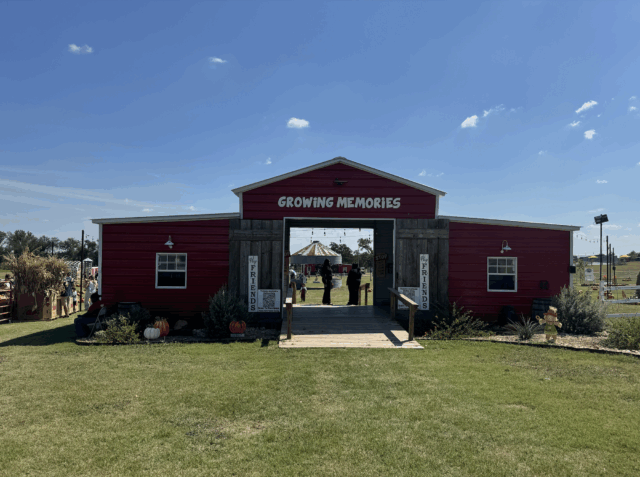 Growing Memories: Visitors enter the Robinson Family Farm through a rustic red barn, setting the stage for a day of fall festivities and photo-worthy moments. Lexie Rodenbaugh | Arts & Life Writer