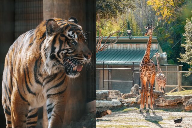 Jake Schroeder | Photographer