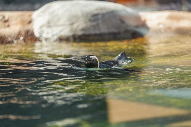 Jake Schroeder | Photographer