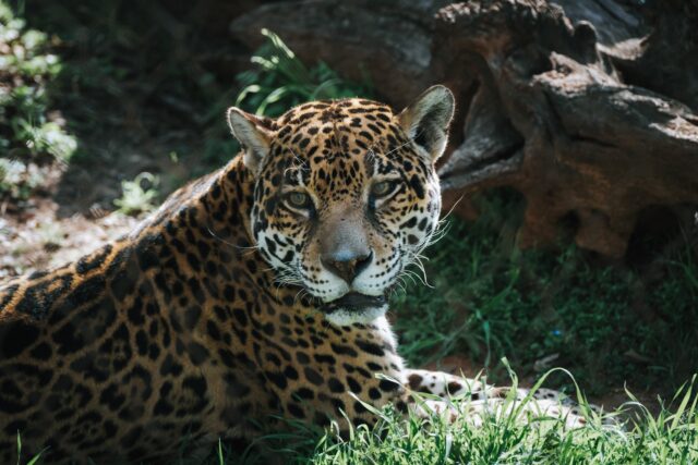 Jake Schroeder | Photographer