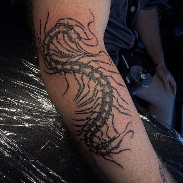 Photo Courtesy of Mazie Petelski