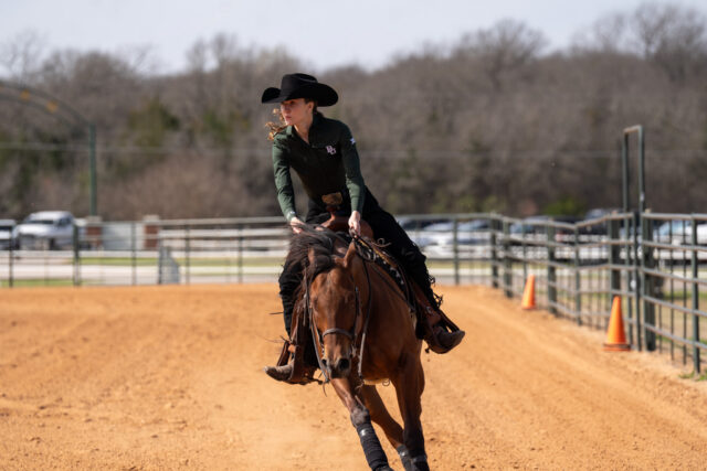 Sophomore western rider Isabelle Hildebrandt prepares her next routine at the Baylor vs Texas Christian University Equestrian meet at the Wills Family Equine Center on Saturday morning. Caleb Garcia | Photographer