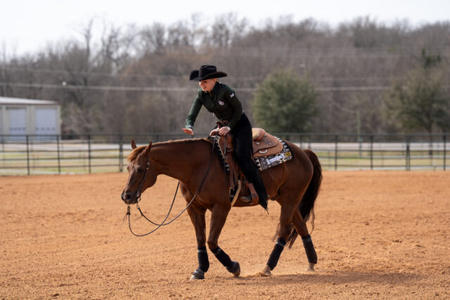 Senior western rider Kalena Reynolds pats her horse after a successful round at the Baylor vs Texas Christian University Equestrian meet on Saturday morning. Caleb Garcia | Photographer
