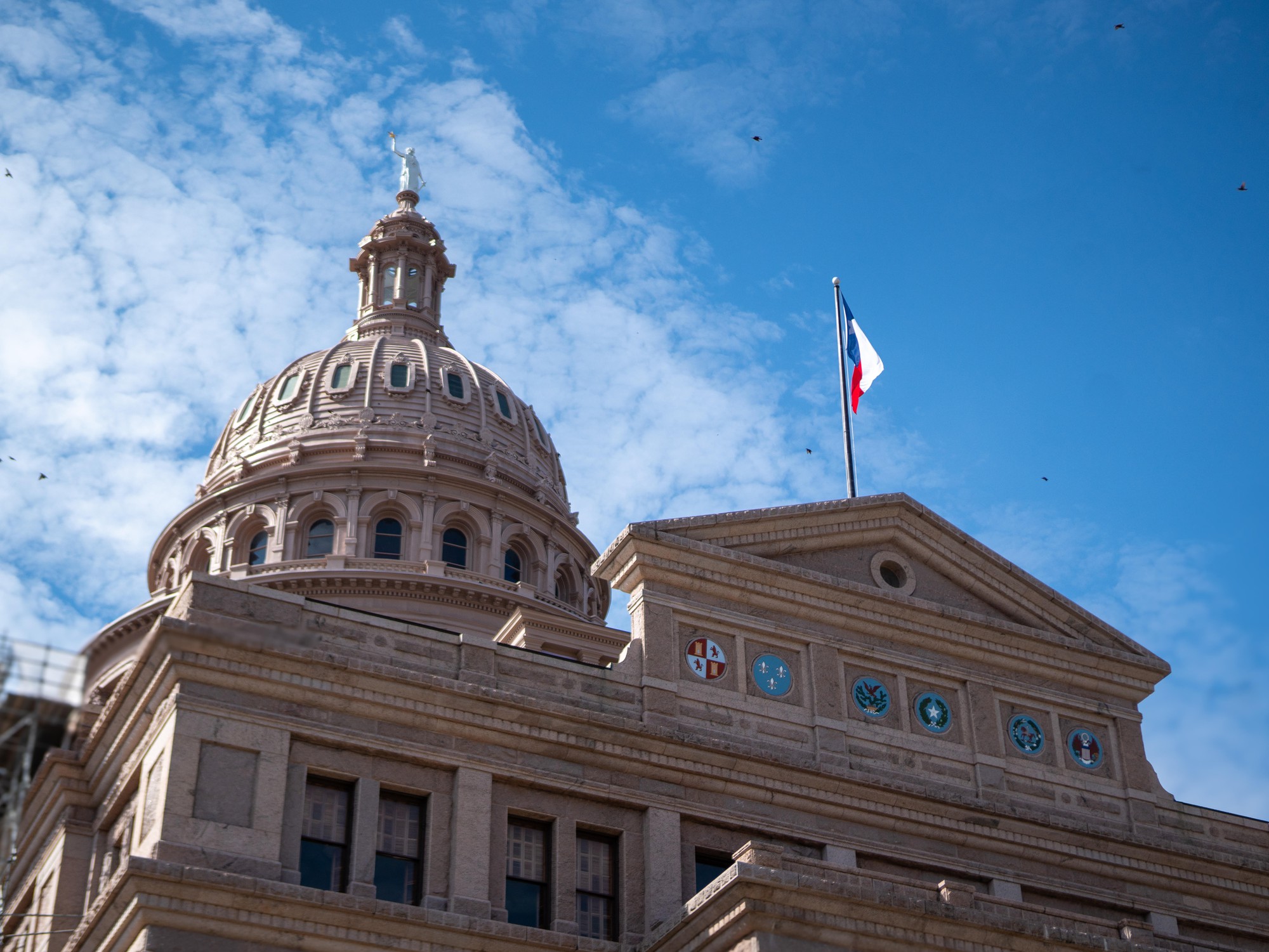 Your guide to Republican candidates for Texas statewide elections