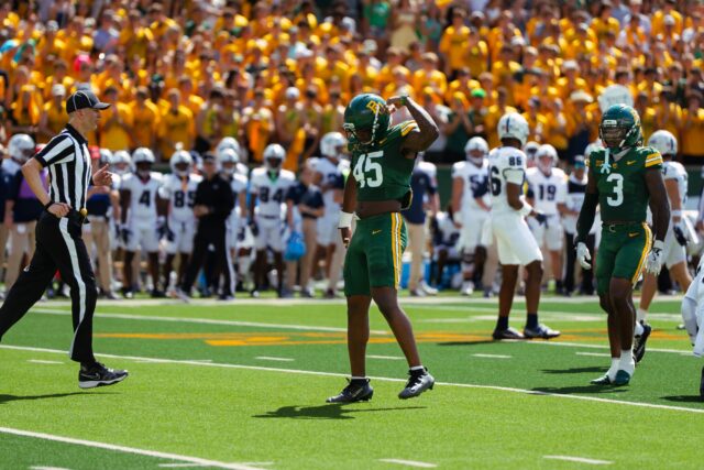 Linebackers look to provide stability in evolving defense