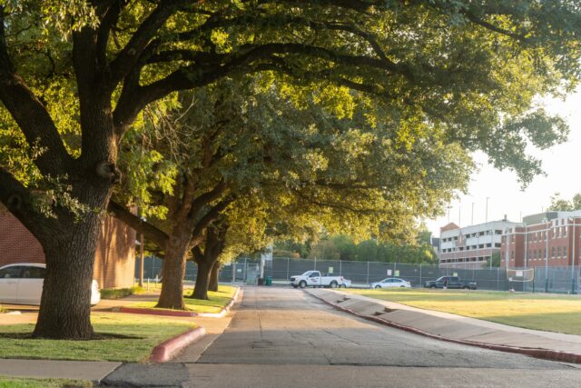 Tree's over hang between the Marrs Mclean Science Building and Bear park, beautifully framing the sidewalk from East to West. Vanessa Adams | Photographer