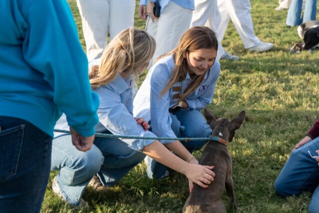 Senior Lainie Roth and junior Lauren Lundy pet a dog during the block party. Vanessa Adams | Photographer